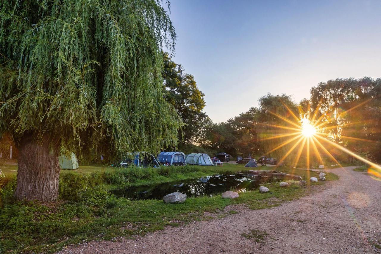 Hotel 11 Eulen Uelzen Dış mekan fotoğraf